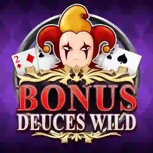 WIZDM WONDERS